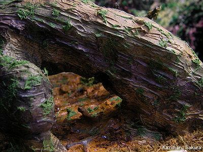 トミカ・ハイラックス、マジョレット・FJクルーザーに似合うジャングルのジオラマ完成画像～岩のトンネルの向こう